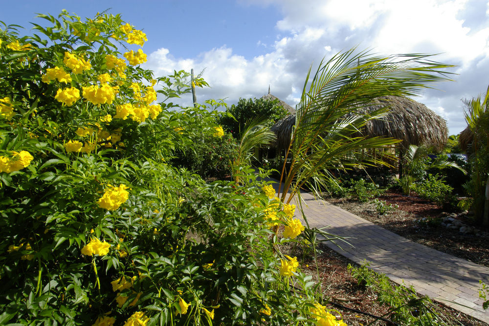Kura Hulanda Lodge & Beach Club Westpunt Exterior foto